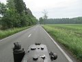 IMG_4419