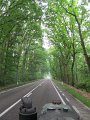 IMG_4423