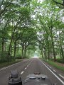 IMG_4424