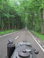 IMG_4425