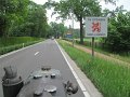 IMG_4451