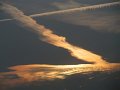IMG_7366