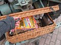 IMG_7441