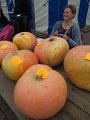 IMG_7452