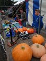 IMG_7455