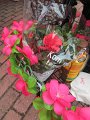 IMG_7496