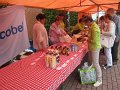 IMG_7503