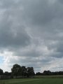 IMG_7781