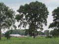 IMG_7788