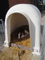 IMG_7823