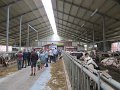 IMG_8019