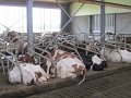 IMG_8025
