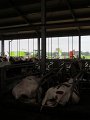 IMG_8026