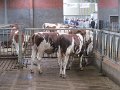 IMG_8053
