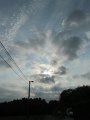 IMG_8119