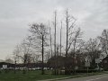IMG_9315