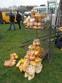 IMG_9490