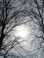 IMG_9523