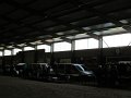 IMG_9589