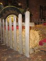 IMG_1348