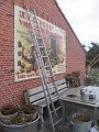 IMG_1350