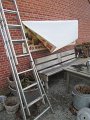 IMG_1351