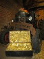 IMG_1378