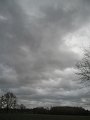 IMG_1452