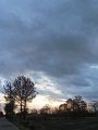 IMG_1487