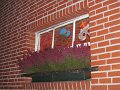 IMG_1560