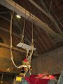 IMG_1599