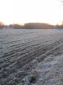 IMG_2181