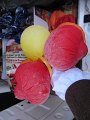 IMG_2377