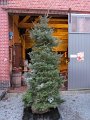 IMG_0385