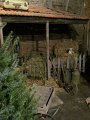 IMG_0405
