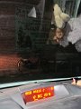 IMG_0409
