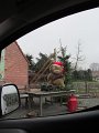 IMG_0412