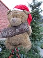 IMG_0415