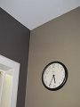 IMG_0453
