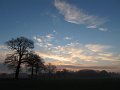 IMG_0460