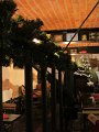 IMG_0464