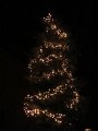 IMG_0490