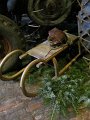 IMG_0509