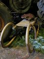 IMG_0510