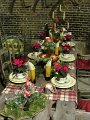 IMG_0536