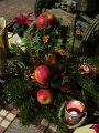 IMG_0537