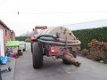 IMG_0575