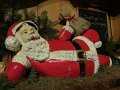 IMG_0600