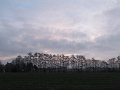 IMG_0625