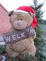 IMG_0627